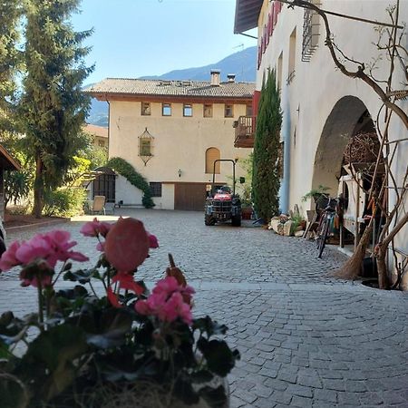 Ansitz Von Wohlgemuth Apartment Salorno Luaran gambar